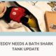 Vintage Teddy Needs a Bath: Value Guide | Teddy Information – Everything You Need to Know About Teddy Bears