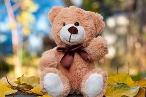 Cozy Autumn Teddy Bears for Sale Teddy Information – Everything You Need to Know About Teddy Bears Cozy Autumn Teddy Bears for Sale | Teddy Information – Everything You Need to Know About Teddy Bears