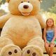World's Tallest Teddy Bears: A Giant Guide | Teddy Information – Everything You Need to Know About Teddy Bears