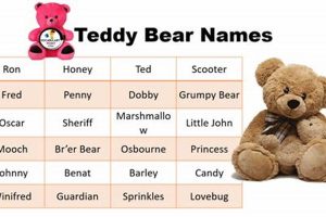 Cuddly & Funny Teddy Bear Names: Hilarious Ideas Teddy Information – Everything You Need to Know About Teddy Bears Cuddly & Funny Teddy Bear Names: Hilarious Ideas | Teddy Information – Everything You Need to Know About Teddy Bears