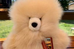 Cuddly Alpaca Teddy Bears: Soft & Fluffy Teddy Information – Everything You Need to Know About Teddy Bears Cuddly Alpaca Teddy Bears: Soft & Fluffy | Teddy Information – Everything You Need to Know About Teddy Bears