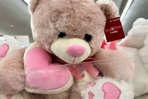 Cute CVS Teddy Bears: Find Your Perfect Plush Pal Teddy Information – Everything You Need to Know About Teddy Bears Cute CVS Teddy Bears: Find Your Perfect Plush Pal | Teddy Information – Everything You Need to Know About Teddy Bears