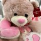 Cute CVS Teddy Bears: Find Your Perfect Plush Pal | Teddy Information – Everything You Need to Know About Teddy Bears