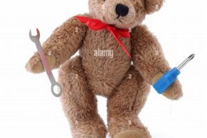 My Handy Teddy Bear: Comfort & Play Teddy Information – Everything You Need to Know About Teddy Bears My Handy Teddy Bear: Comfort & Play | Teddy Information – Everything You Need to Know About Teddy Bears