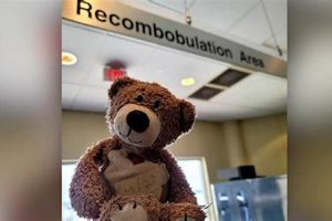 Lost My Teddy Bear: Help Me Find Him! Teddy Information – Everything You Need to Know About Teddy Bears Lost My Teddy Bear: Help Me Find Him! | Teddy Information – Everything You Need to Know About Teddy Bears