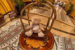 Teddy Bear Tea: Roosevelt's 2024 Legacy Teddy Information – Everything You Need to Know About Teddy Bears Teddy Bear Tea: Roosevelt's 2024 Legacy | Teddy Information – Everything You Need to Know About Teddy Bears