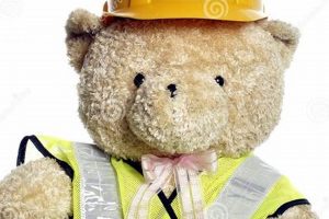 The Art of Teddy Bear Construction & Design Teddy Information – Everything You Need to Know About Teddy Bears The Art of Teddy Bear Construction & Design | Teddy Information – Everything You Need to Know About Teddy Bears