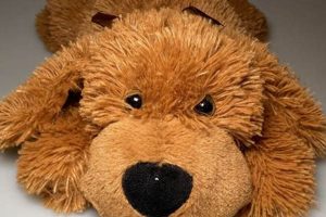 Get Your Teddy the Dog Discount Code & Save! Teddy Information – Everything You Need to Know About Teddy Bears Get Your Teddy the Dog Discount Code & Save! | Teddy Information – Everything You Need to Know About Teddy Bears