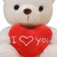 Cuddly Teddy Bears with Hearts: Gifts of Love | Teddy Information – Everything You Need to Know About Teddy Bears