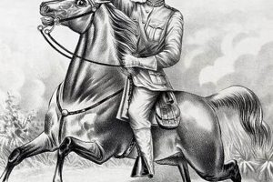 The Legacy of U.S.V. Teddy Roosevelt: A Maritime History Teddy Information – Everything You Need to Know About Teddy Bears The Legacy of U.S.V. Teddy Roosevelt: A Maritime History | Teddy Information – Everything You Need to Know About Teddy Bears