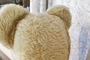Cuddly Teddy Bear Hump: A Closer Look Teddy Information – Everything You Need to Know About Teddy Bears Cuddly Teddy Bear Hump: A Closer Look | Teddy Information – Everything You Need to Know About Teddy Bears