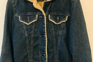 Cozy Teddy Bear Lined Jackets for Winter Teddy Information – Everything You Need to Know About Teddy Bears Cozy Teddy Bear Lined Jackets for Winter | Teddy Information – Everything You Need to Know About Teddy Bears