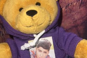 Cuddly One Direction Teddy Bear Collectibles Teddy Information – Everything You Need to Know About Teddy Bears Cuddly One Direction Teddy Bear Collectibles | Teddy Information – Everything You Need to Know About Teddy Bears