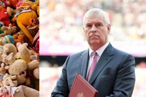 Prince Andrew's Teddy Bears: Fact or Fiction? Teddy Information – Everything You Need to Know About Teddy Bears Prince Andrew's Teddy Bears: Fact or Fiction? | Teddy Information – Everything You Need to Know About Teddy Bears