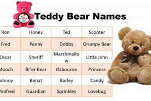 Cute Teddy Bear Names: 500+ Ideas Teddy Information – Everything You Need to Know About Teddy Bears Cute Teddy Bear Names: 500+ Ideas | Teddy Information – Everything You Need to Know About Teddy Bears