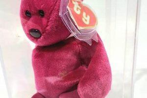 Adorable Magenta Teddy Beanie Baby Plush Teddy Information – Everything You Need to Know About Teddy Bears Adorable Magenta Teddy Beanie Baby Plush | Teddy Information – Everything You Need to Know About Teddy Bears