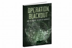 The Teddy Daniels Blackout Mystery Explained Teddy Information – Everything You Need to Know About Teddy Bears The Teddy Daniels Blackout Mystery Explained | Teddy Information – Everything You Need to Know About Teddy Bears