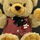 Cuddly JCPenney Teddy Bears: Soft & Plush | Teddy Information – Everything You Need to Know About Teddy Bears