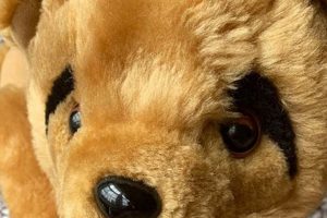 Vintage 80s Teddy Bears: A Collector's Guide Teddy Information – Everything You Need to Know About Teddy Bears Vintage 80s Teddy Bears: A Collector's Guide | Teddy Information – Everything You Need to Know About Teddy Bears