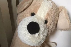 Cuddly Large Dog Teddy Bears: Soft & Huggable Teddy Information – Everything You Need to Know About Teddy Bears Cuddly Large Dog Teddy Bears: Soft & Huggable | Teddy Information – Everything You Need to Know About Teddy Bears