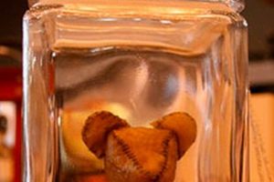 Personalized Placenta Teddy Bear Keepsakes Teddy Information – Everything You Need to Know About Teddy Bears Personalized Placenta Teddy Bear Keepsakes | Teddy Information – Everything You Need to Know About Teddy Bears