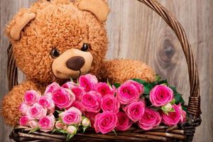 Adorable Teddy Bear Cute Pictures & Images Teddy Information – Everything You Need to Know About Teddy Bears Adorable Teddy Bear Cute Pictures & Images | Teddy Information – Everything You Need to Know About Teddy Bears