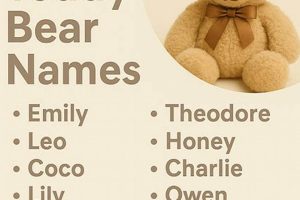 Cutest Adorable Teddy Bear Names for Kids Teddy Information – Everything You Need to Know About Teddy Bears Cutest Adorable Teddy Bear Names for Kids | Teddy Information – Everything You Need to Know About Teddy Bears