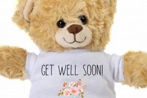 Cuddly Get Well Soon Teddy Bears: Comfort & Joy Teddy Information – Everything You Need to Know About Teddy Bears Cuddly Get Well Soon Teddy Bears: Comfort & Joy | Teddy Information – Everything You Need to Know About Teddy Bears