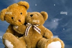 Cute Teddy Bear Hug Images & Pictures Teddy Information – Everything You Need to Know About Teddy Bears Cute Teddy Bear Hug Images & Pictures | Teddy Information – Everything You Need to Know About Teddy Bears