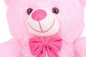 Adorable Pink Cute Teddy Bears: Soft & Cuddly Teddy Information – Everything You Need to Know About Teddy Bears Adorable Pink Cute Teddy Bears: Soft & Cuddly | Teddy Information – Everything You Need to Know About Teddy Bears