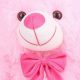 Adorable Pink Cute Teddy Bears: Soft & Cuddly | Teddy Information – Everything You Need to Know About Teddy Bears