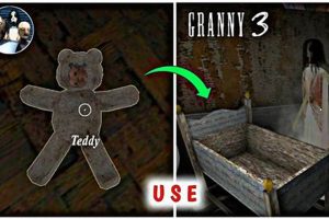Granny's Teddy Bear: Escape Key Explained Teddy Information – Everything You Need to Know About Teddy Bears Granny's Teddy Bear: Escape Key Explained | Teddy Information – Everything You Need to Know About Teddy Bears