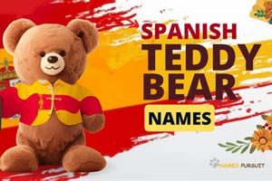 Learn How to Say Teddy Bear in Spanish Now Teddy Information – Everything You Need to Know About Teddy Bears Learn How to Say Teddy Bear in Spanish Now | Teddy Information – Everything You Need to Know About Teddy Bears