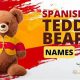 Learn How to Say Teddy Bear in Spanish Now | Teddy Information – Everything You Need to Know About Teddy Bears