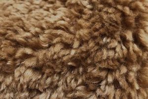Soft & Cuddly Brown Teddy Bear Fabric Teddy Information – Everything You Need to Know About Teddy Bears Soft & Cuddly Brown Teddy Bear Fabric | Teddy Information – Everything You Need to Know About Teddy Bears