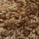 Soft & Cuddly Brown Teddy Bear Fabric | Teddy Information – Everything You Need to Know About Teddy Bears