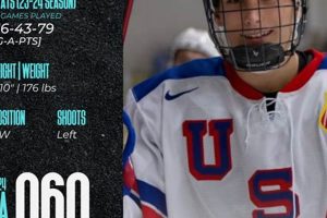 Who Are Teddy Stiga's Parents? Family & History Teddy Information – Everything You Need to Know About Teddy Bears Who Are Teddy Stiga's Parents? Family & History | Teddy Information – Everything You Need to Know About Teddy Bears