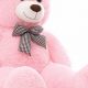 Giant Pink Teddy Bears: Soft & Cuddly | Teddy Information – Everything You Need to Know About Teddy Bears