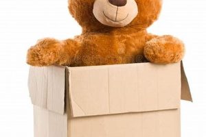 Cute Teddy in a Box Gifts & Sets Teddy Information – Everything You Need to Know About Teddy Bears Cute Teddy in a Box Gifts & Sets | Teddy Information – Everything You Need to Know About Teddy Bears