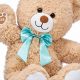 Charming Teddy Bear Bows & Accessories | Teddy Information – Everything You Need to Know About Teddy Bears