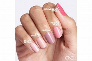 CND Blush Teddy: The Perfect Neutral Pink Teddy Information – Everything You Need to Know About Teddy Bears CND Blush Teddy: The Perfect Neutral Pink | Teddy Information – Everything You Need to Know About Teddy Bears