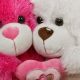 Lovely Teddy Bears: Cuddly & Cute | Teddy Information – Everything You Need to Know About Teddy Bears