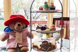 Enchanting Teddy Bear Tea at The Langham Teddy Information – Everything You Need to Know About Teddy Bears Enchanting Teddy Bear Tea at The Langham | Teddy Information – Everything You Need to Know About Teddy Bears