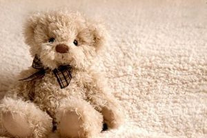 Adorable Cute Teddy Bear Background Images & Photos Teddy Information – Everything You Need to Know About Teddy Bears Adorable Cute Teddy Bear Background Images & Photos | Teddy Information – Everything You Need to Know About Teddy Bears