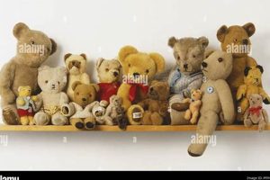 Adorable Teddy Bear Shelves & Storage Ideas Teddy Information – Everything You Need to Know About Teddy Bears Adorable Teddy Bear Shelves & Storage Ideas | Teddy Information – Everything You Need to Know About Teddy Bears