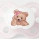 Cute Teddy Bear Pacifiers & Plush Toys | Teddy Information – Everything You Need to Know About Teddy Bears