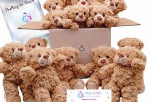 Best Teddy Bear Kits & Supplies You Need Teddy Information – Everything You Need to Know About Teddy Bears Best Teddy Bear Kits & Supplies You Need | Teddy Information – Everything You Need to Know About Teddy Bears