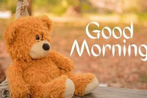 Cuddly Teddy Bears & Good Morning Wishes Teddy Information – Everything You Need to Know About Teddy Bears Cuddly Teddy Bears & Good Morning Wishes | Teddy Information – Everything You Need to Know About Teddy Bears