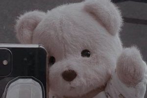 Cute Aesthetic Teddy Bear PFPs: Icons & Avatars Teddy Information – Everything You Need to Know About Teddy Bears Cute Aesthetic Teddy Bear PFPs: Icons & Avatars | Teddy Information – Everything You Need to Know About Teddy Bears