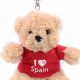 Cute Teddy Bear Key Chains & Charms | Teddy Information – Everything You Need to Know About Teddy Bears